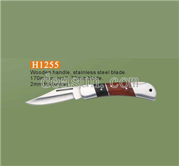 H1255